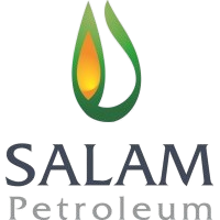 salam_petroleum_services_w_l_l__logo-removebg-preview